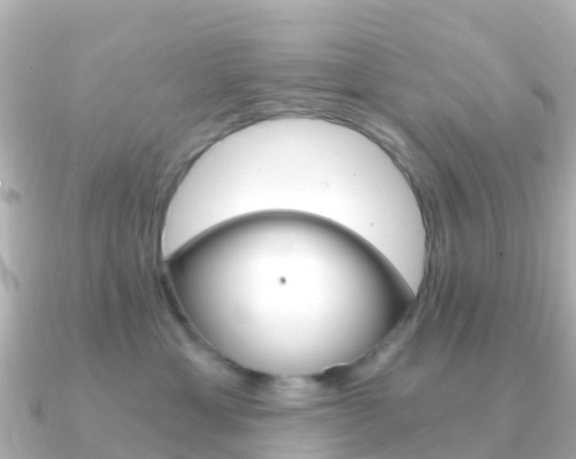 X0000091360429200708101058