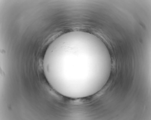 X0000091360430200708101058