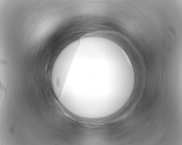 X0000091360431200708101058