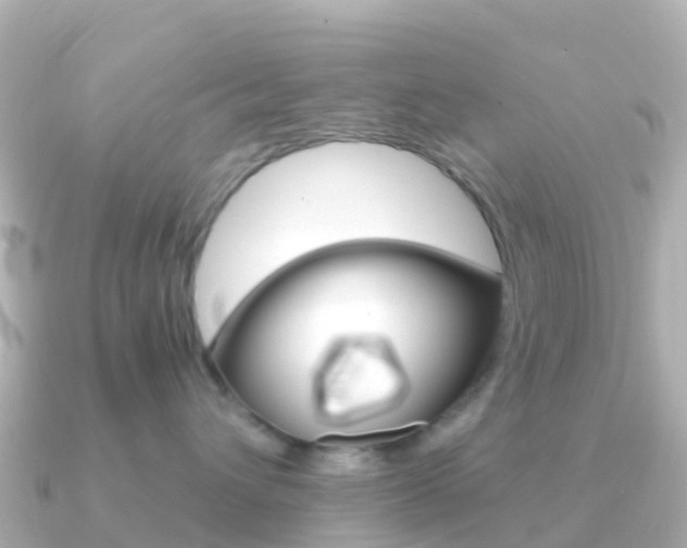 X0000091360432200708101058