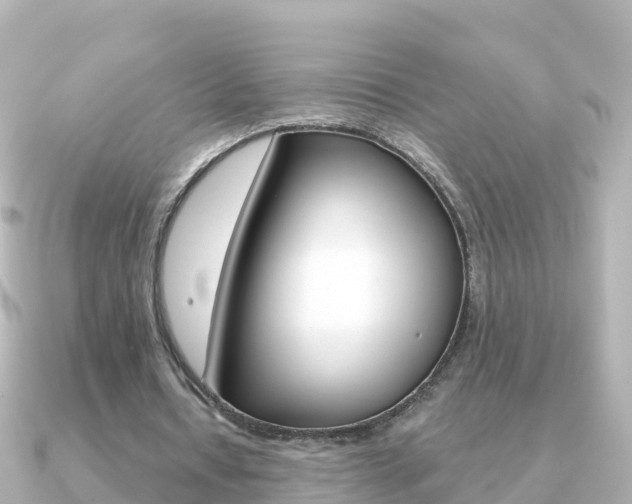 X0000091360434200708101057