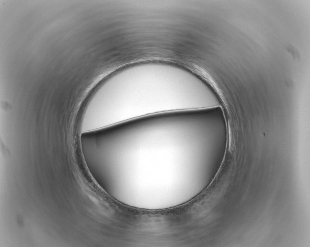 X0000091360435200708101057
