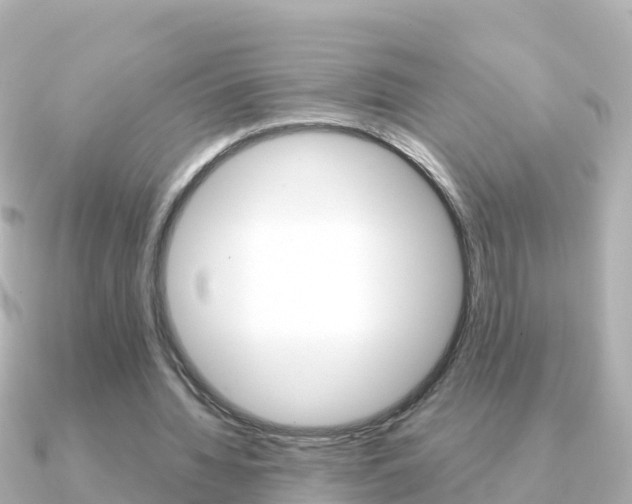 X0000091360436200708101057