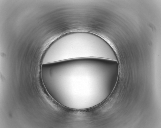 X0000091360437200708101057