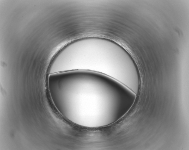 X0000091360438200708101057