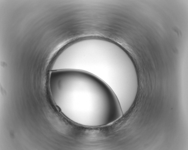 X0000091360440200708101057