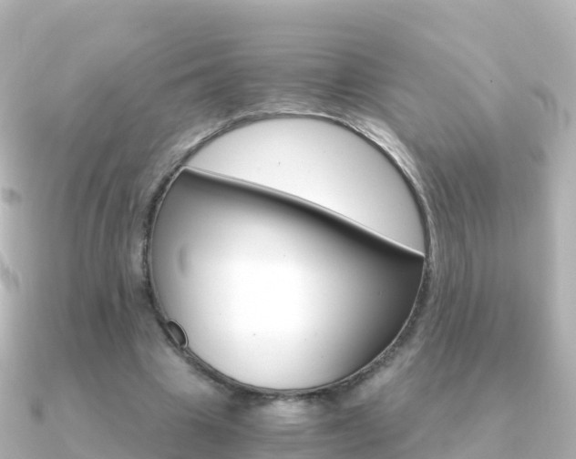 X0000091360441200708101057