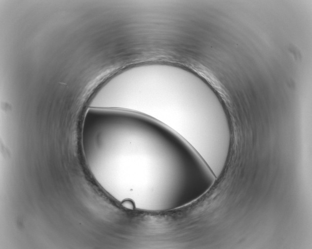 X0000091360442200708101057