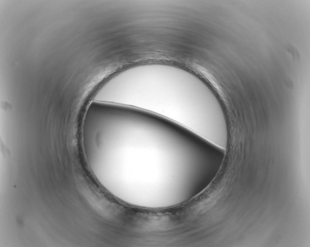 X0000091360443200708101057