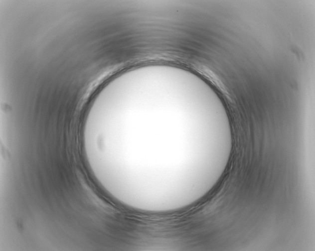 X0000091360444200708101057
