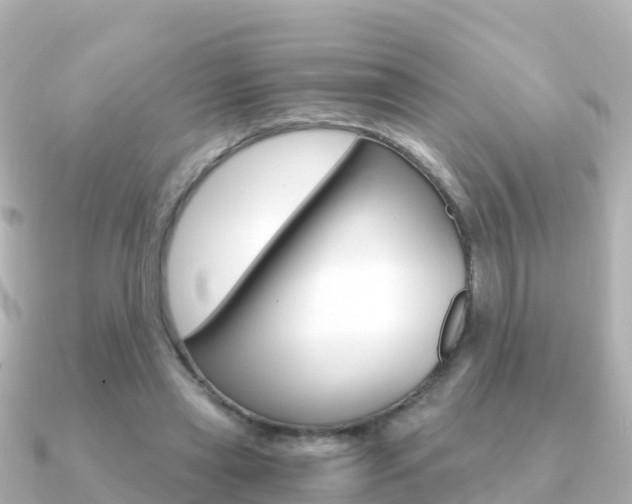 X0000091360445200708101057