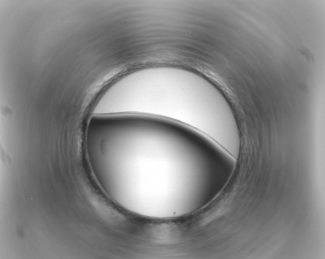 X0000091360446200708101057