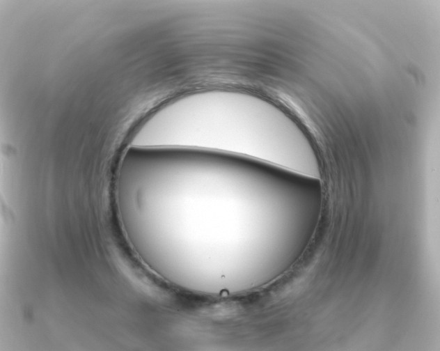 X0000091360447200708101057