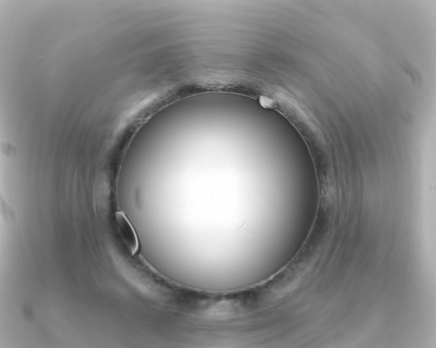 X0000091360448200708101057