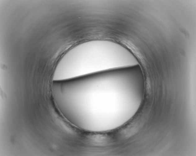 X0000091360449200708101057