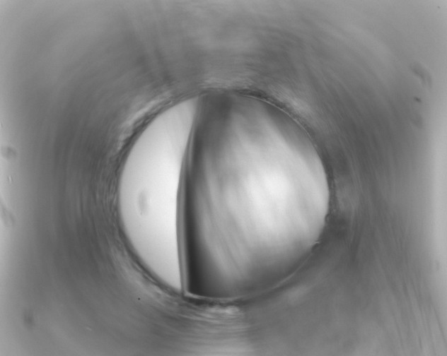 X0000091360450200708101057