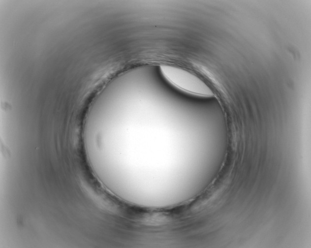 X0000091360451200708101057