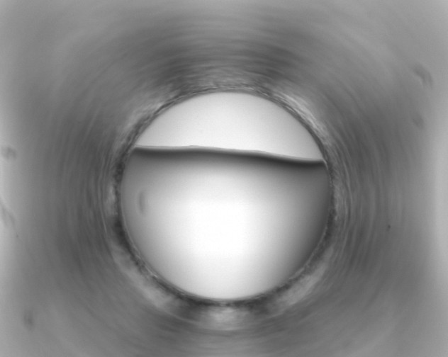X0000091360453200708101057
