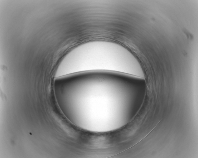X0000091360454200708101057
