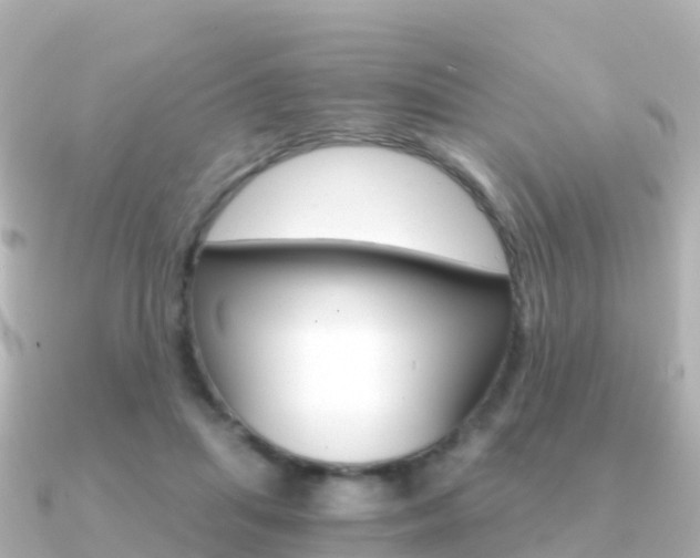 X0000091360455200708101057