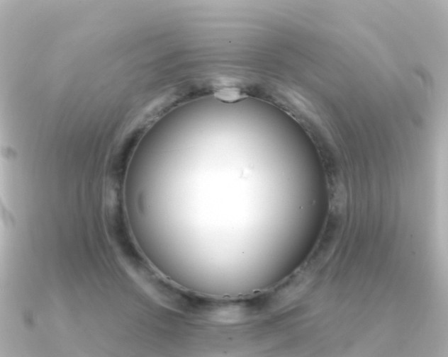 X0000091360456200708101057