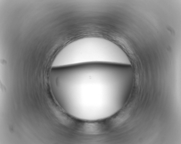 X0000091360457200708101058