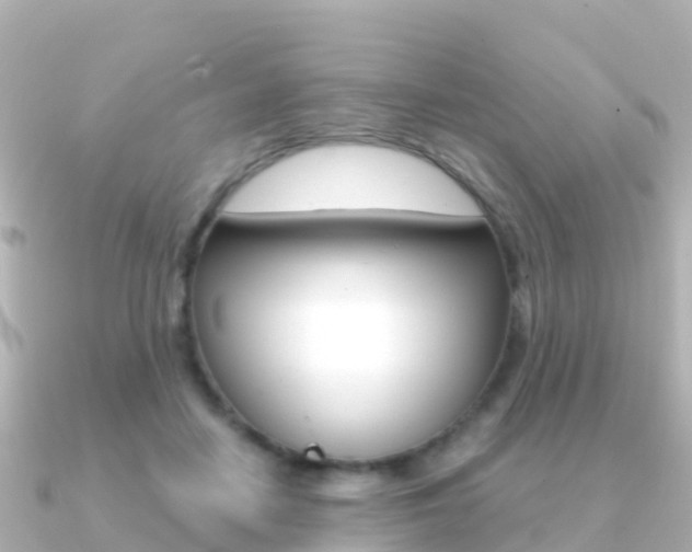 X0000091360458200708101058