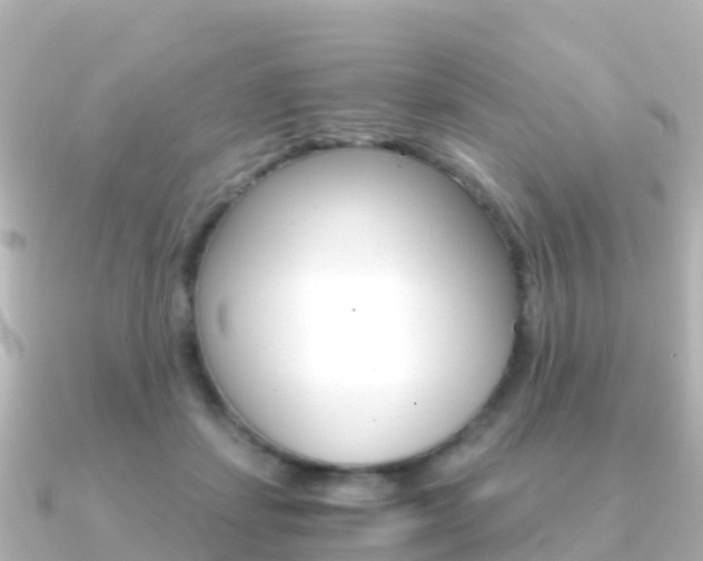 X0000091360459200708101058