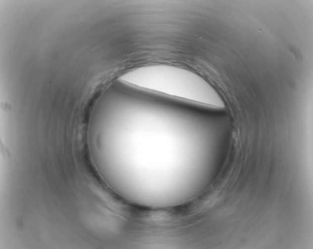 X0000091360462200708101058