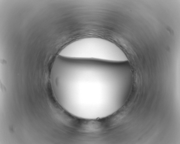 X0000091360463200708101058