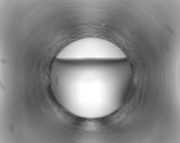 X0000091360464200708101058