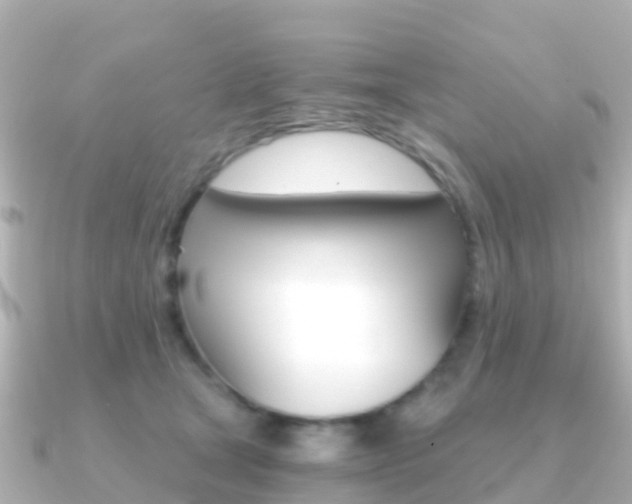 X0000091360465200708101058