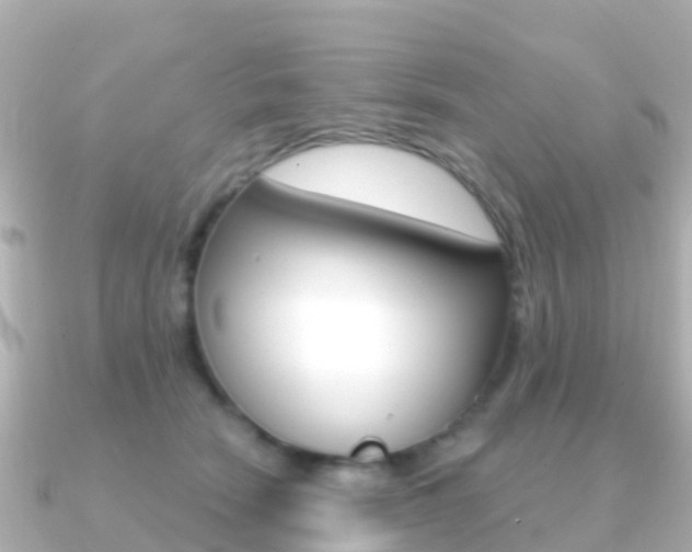 X0000091360466200708101058
