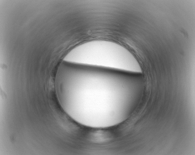 X0000091360467200708101058