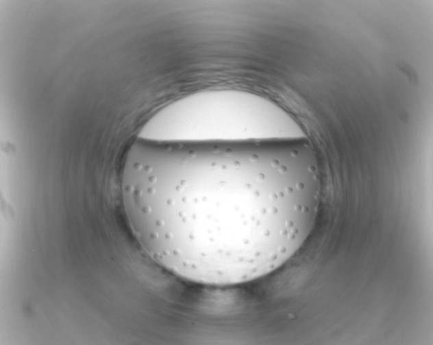 X0000091360469200708101058