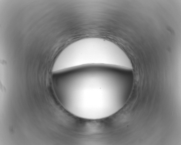 X0000091360470200708101058