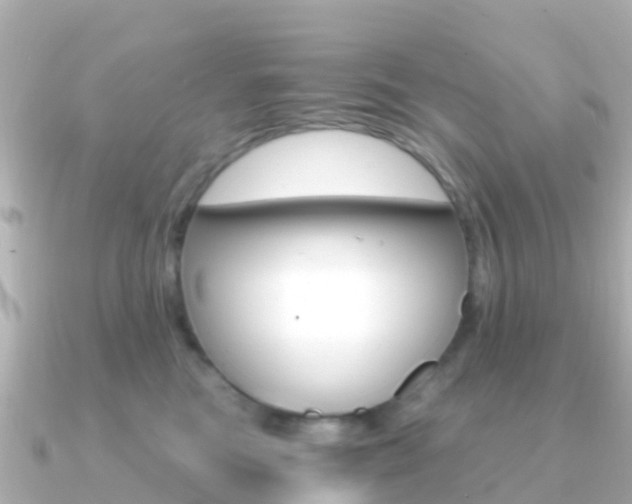 X0000091360473200708101058