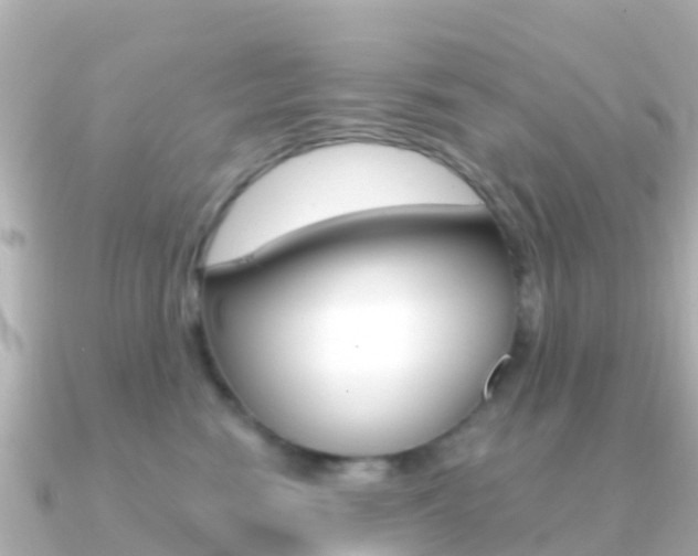 X0000091360474200708101058