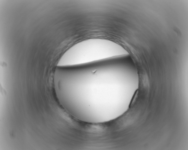 X0000091360475200708101058