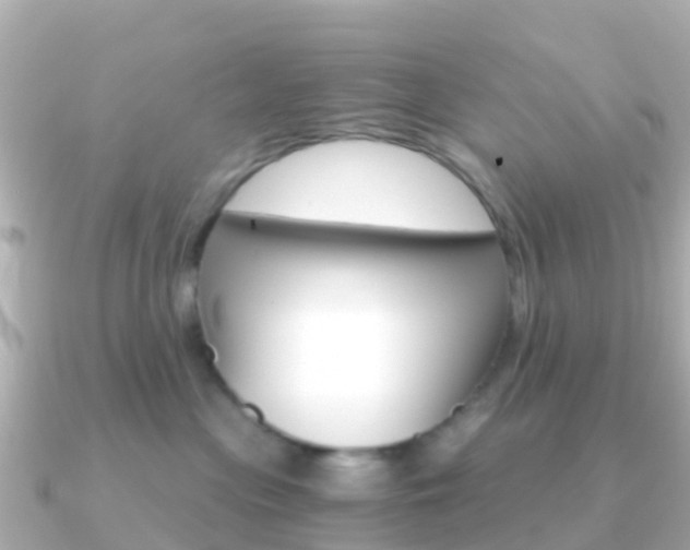 X0000091360477200708101058