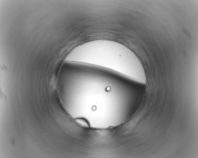 X0000091360478200708101058