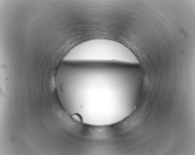 X0000091360479200708101058