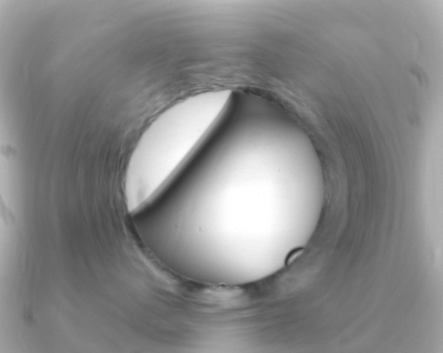 X0000091360480200708101058