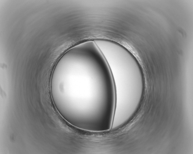 X0000091360481200708101057