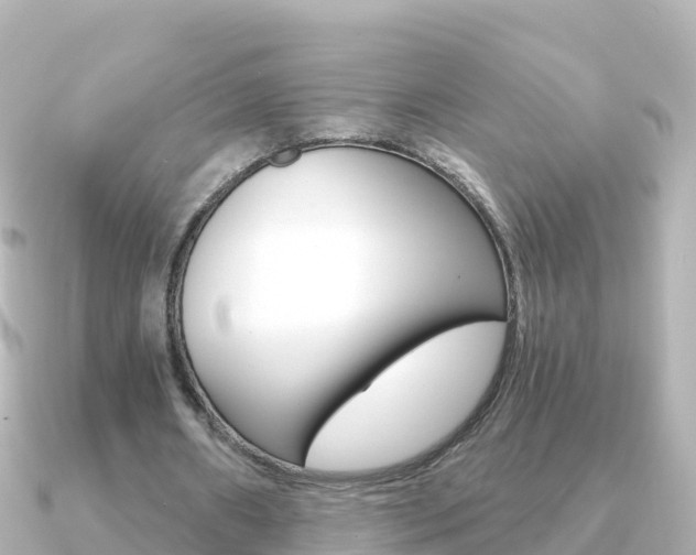 X0000091360482200708101057