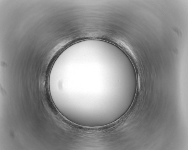 X0000091360483200708101057