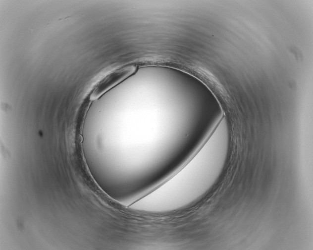 X0000091360484200708101057