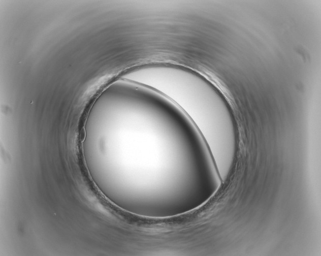 X0000091360485200708101057