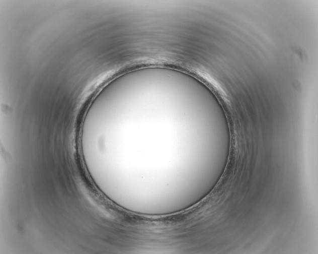 X0000091360486200708101057
