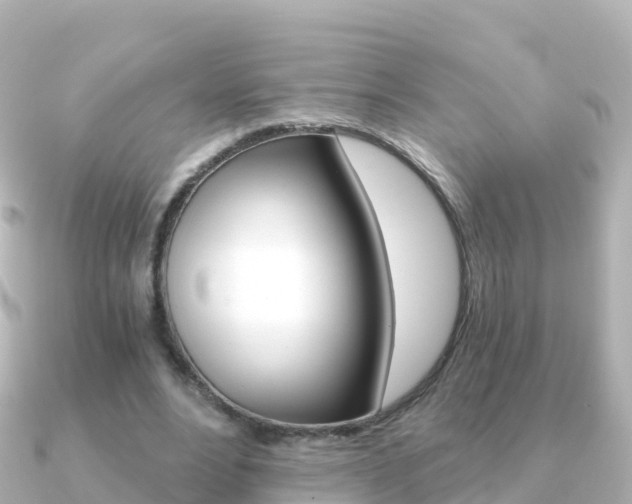 X0000091360488200708101057